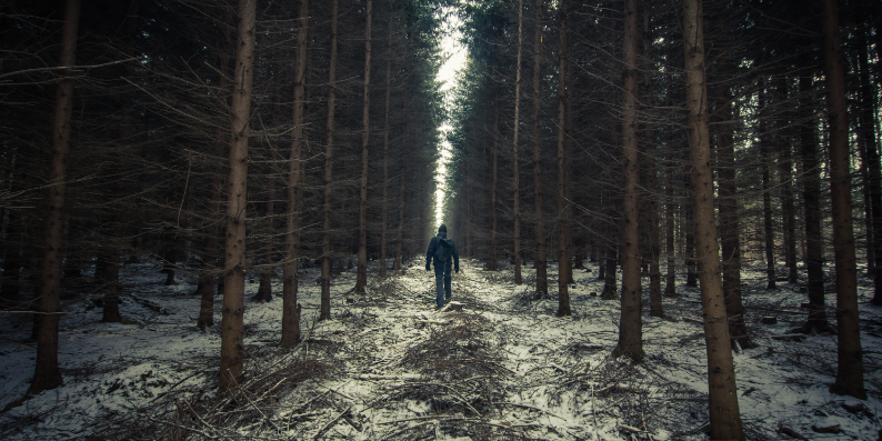 Varför en viktad promenad är den mest omtänksamma gåvan du kan ge i vinter